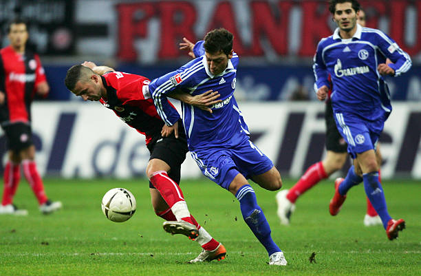 的独特魅力 的独特魅力